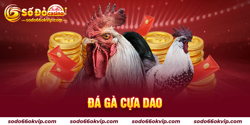 Đá Gà Cựa Dao Sodo66 - Bộ Môn Giải Trí Kịch Tính, Đẳng Cấp