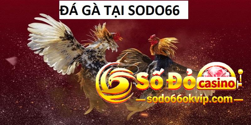 Đá Gà SODO66
