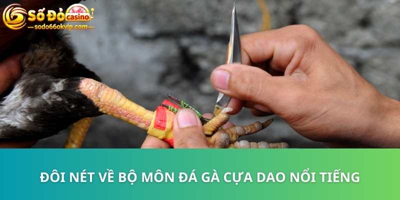 Đá Gà Cựa Dao Sodo66 - Bộ Môn Giải Trí Kịch Tính, Đẳng Cấp