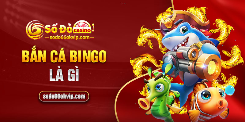 Bắn Cá Bingo Là Gì? Điều Gì Giúp Tựa Game Trở Nên Hấp Dẫn?