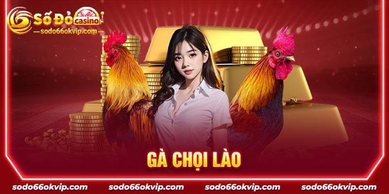 Gà Chọi Lào - Sodo66 Chia Sẻ Cách Chọn Chiến Kê Chuẩn Xác