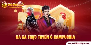 Đá Gà Trực Tuyến Ở Campuchia Và Những Điều Hấp Dẫn