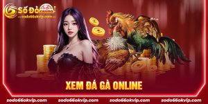 Xem Đá Gà Online An Toàn & Uy Tín Tại Nhà Cái Sodo66