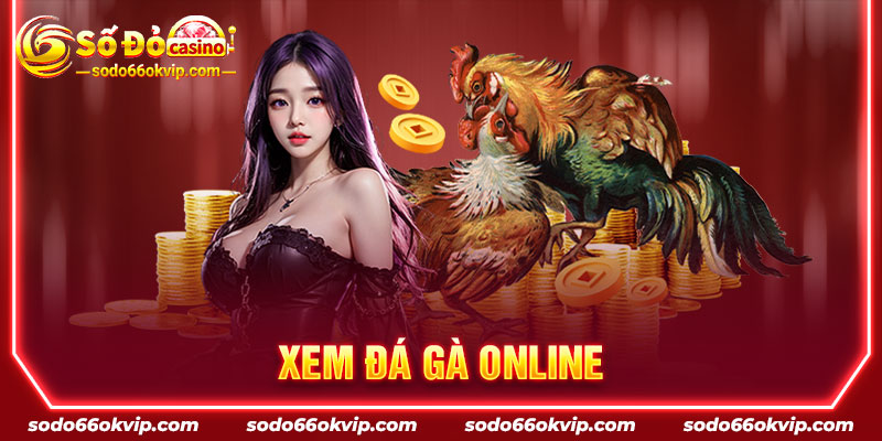 Xem Đá Gà Online An Toàn & Uy Tín Tại Nhà Cái Sodo66