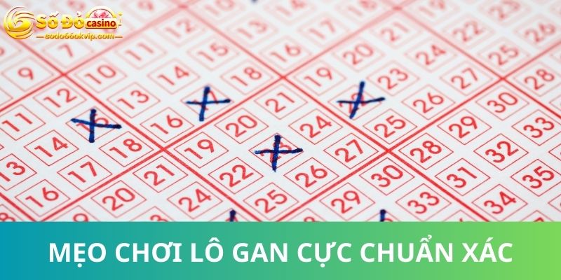 Lô Gan - “Học Lỏm” Cao Thủ Bí Kíp Bắt Cầu Siêu Chuẩn Xác