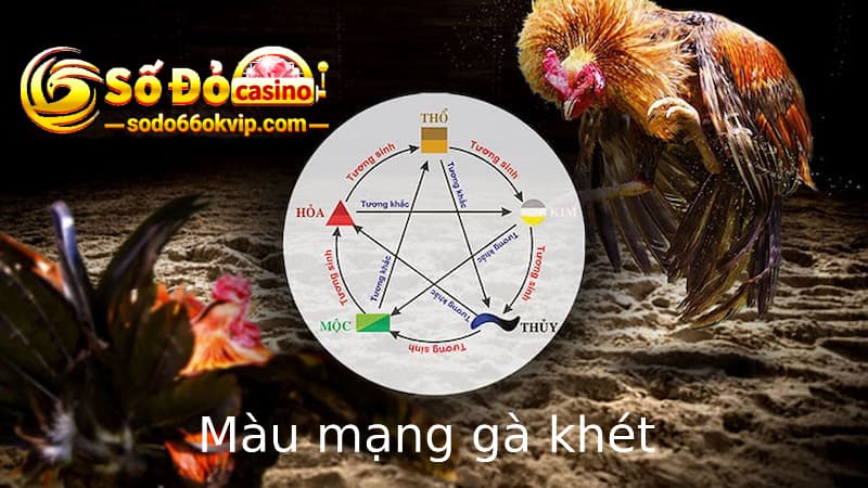 Gà Khét Là Gì - Giải Mã Giống Gà Đá Hot Cùng Sodo66