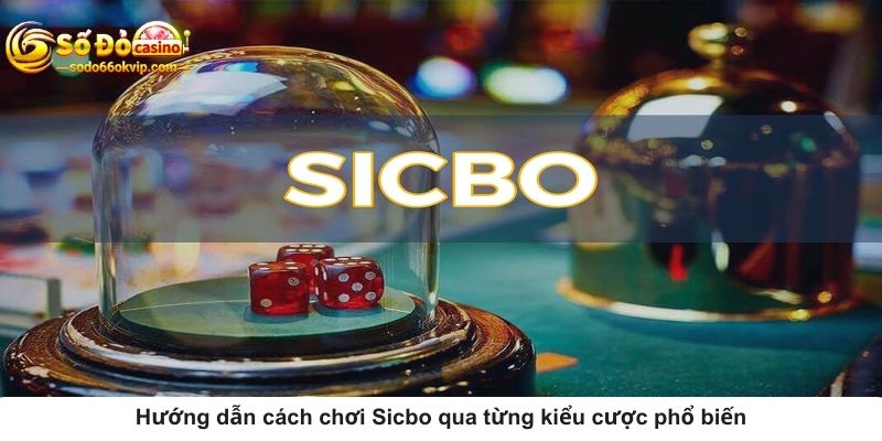 Sic Bo Là Gì? Hướng Dẫn Cách Chơi Từ A - Z Cho Tân Thủ