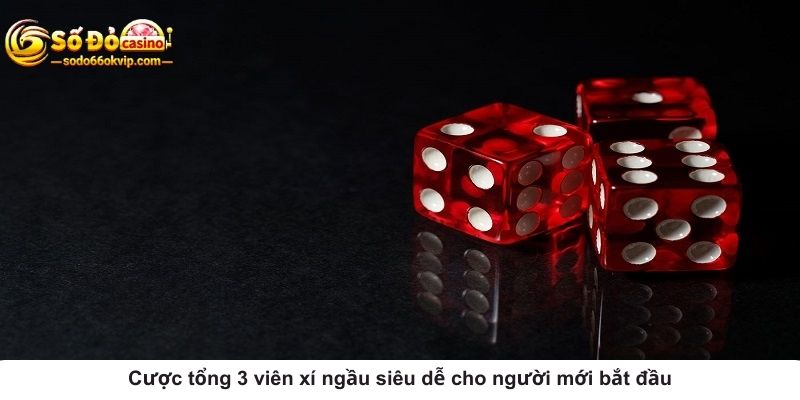 Sic Bo Là Gì? Hướng Dẫn Cách Chơi Từ A - Z Cho Tân Thủ