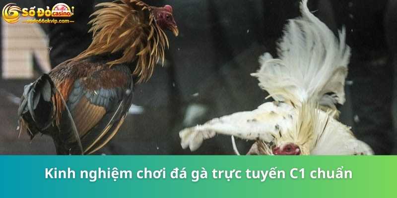 Đá Gà Trực Tuyến C1 - Đấu Trường Cho Dân Chơi Chuyên Nghiệp